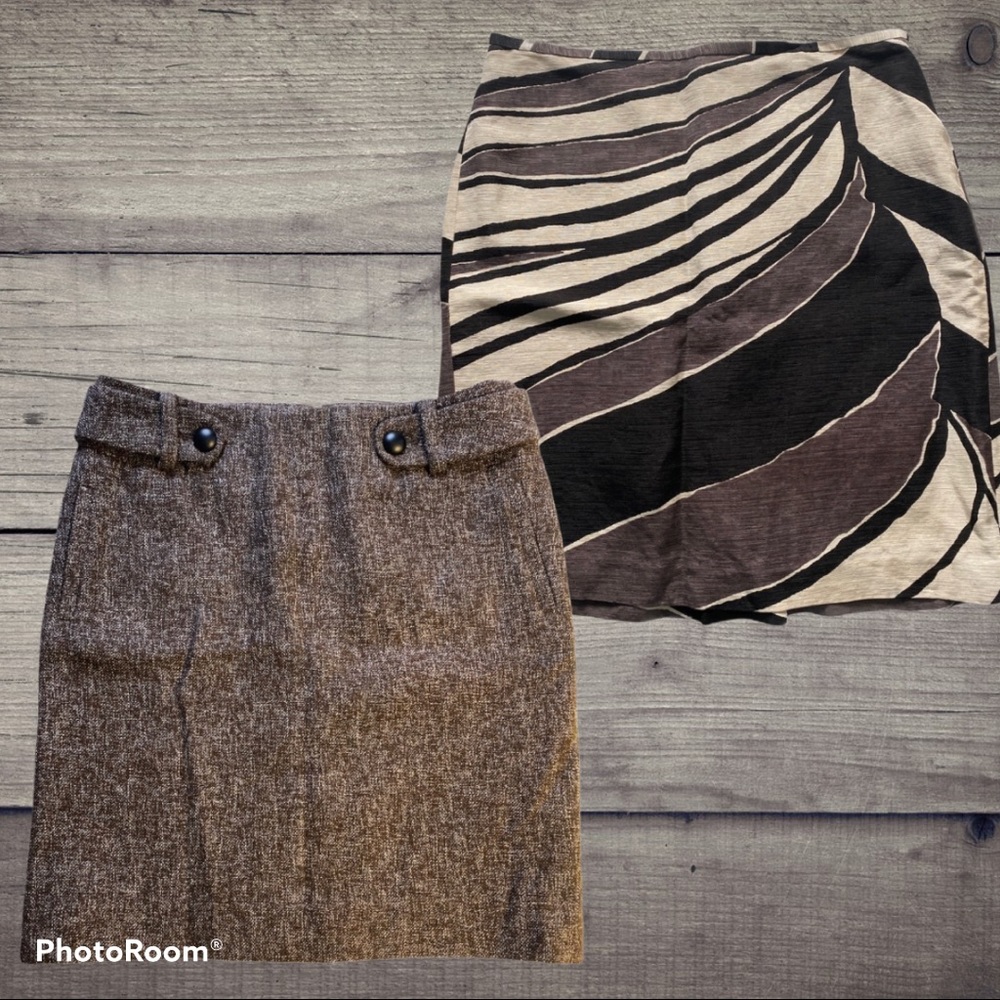 2 Skirts Banana Republic/Ann Taylor Petite Skirt Bundle 8P